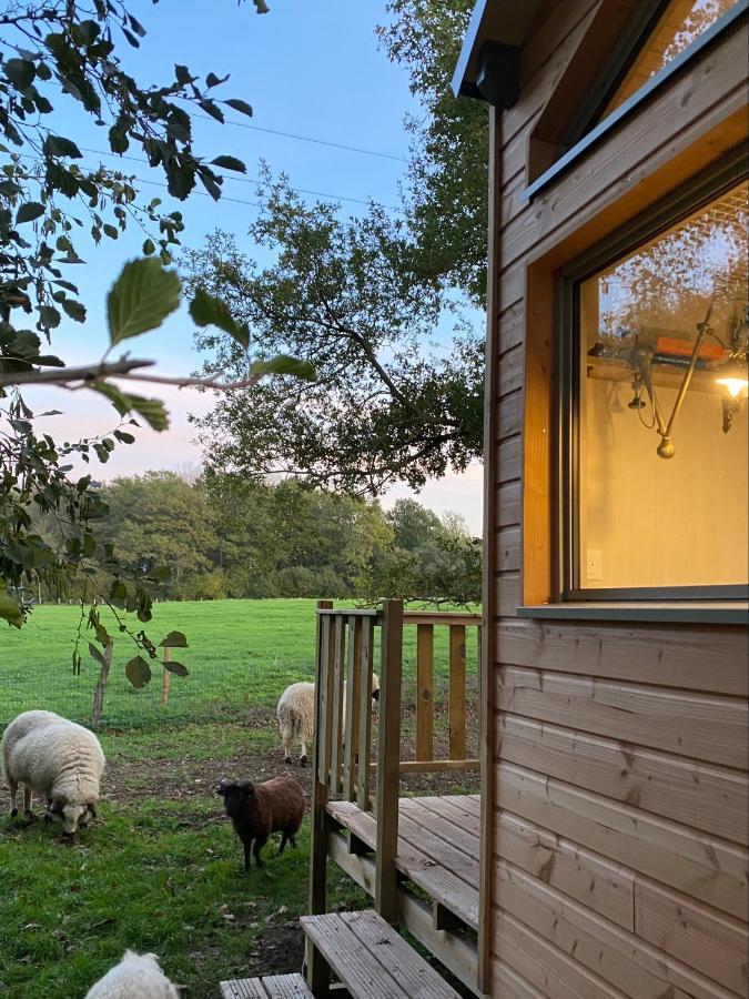 Вилла Jolie Tiny House Sous Les Grands Arbres Шоле Экстерьер фото